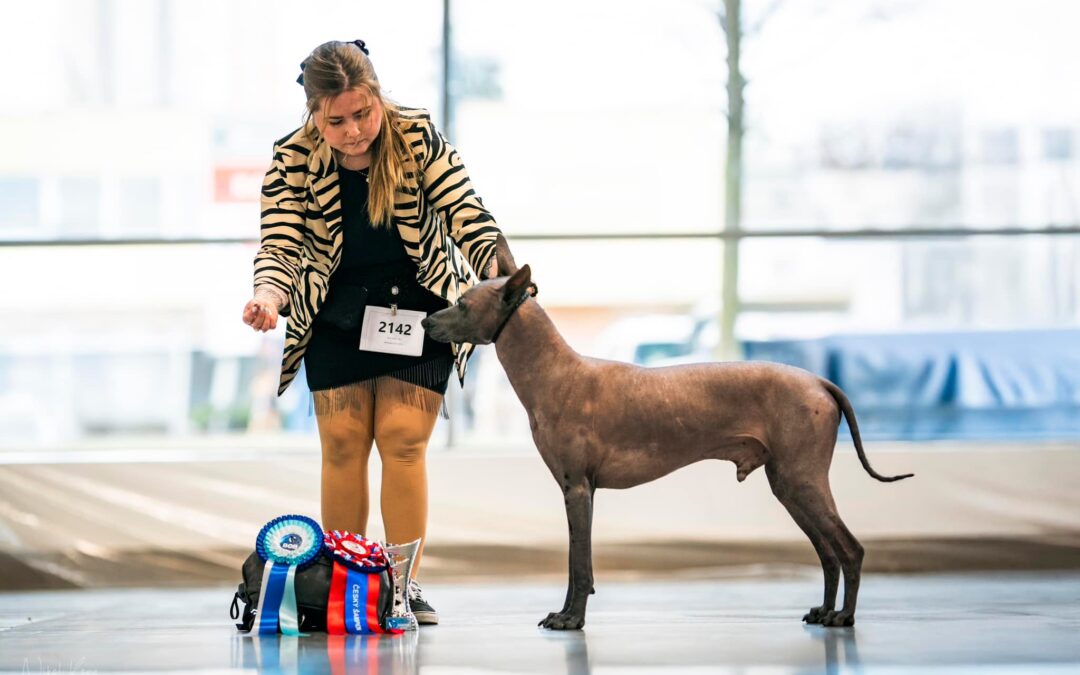 National Dog Show Brno 12.1.2025 🤩